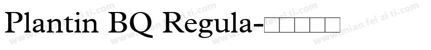 Plantin BQ Regula字体转换